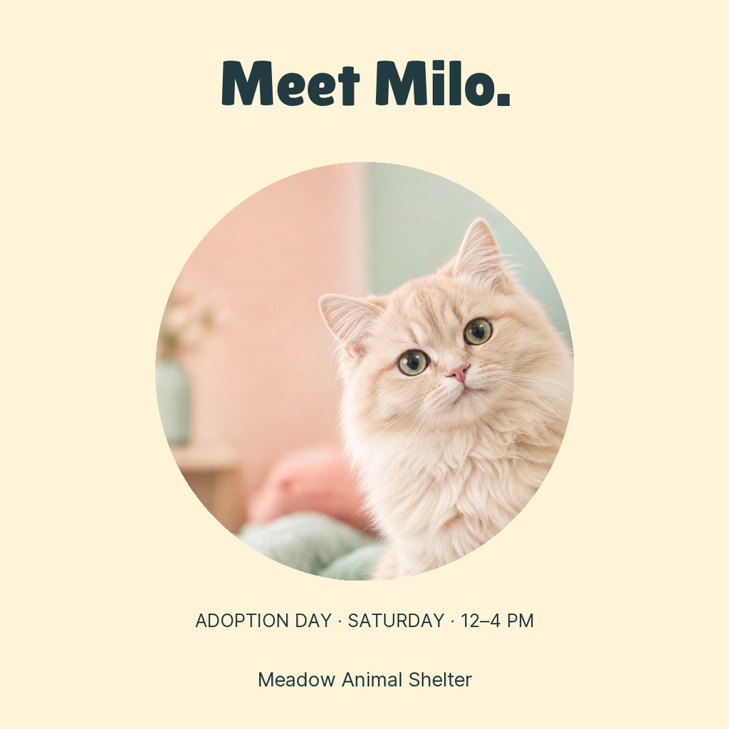 Square post with the text Meet Milo, a cat photo, and adoption day details.