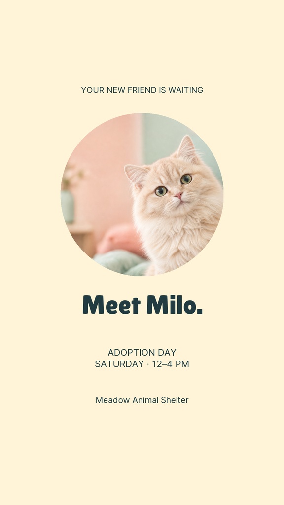 Portrait poster with a kitten photo, the text Meet Milo, and adoption day details.
