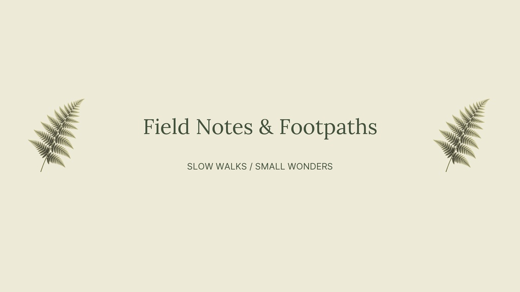 Minimal beige YouTube banner with fern illustrations and the words Field Notes & Footpaths.