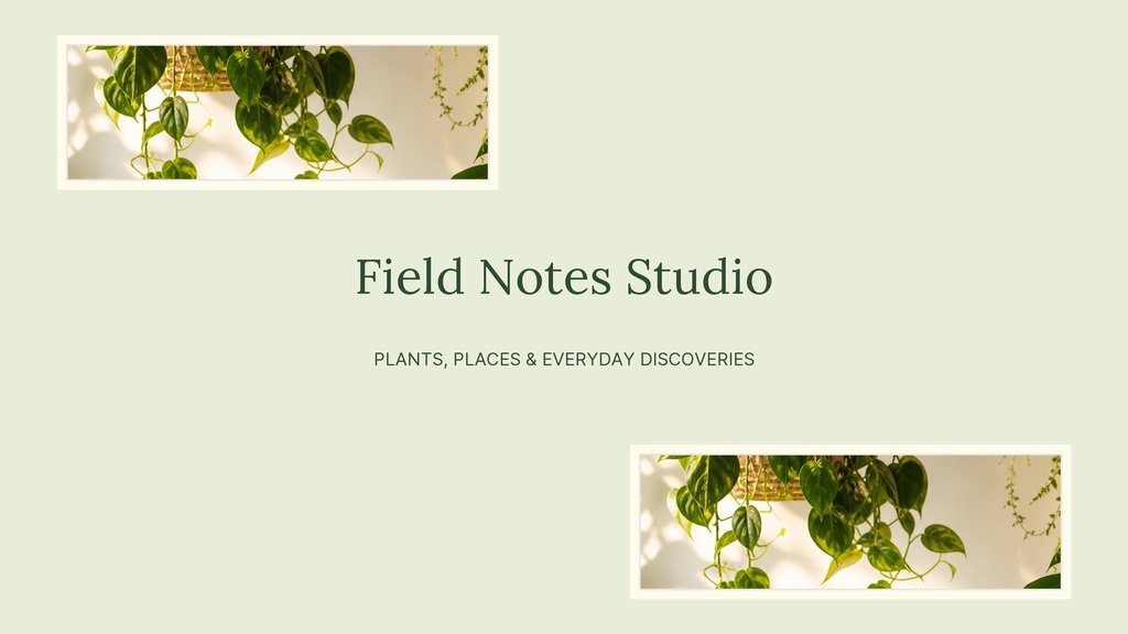 Botanical YouTube banner with green leaves and the text Field Notes Studio.