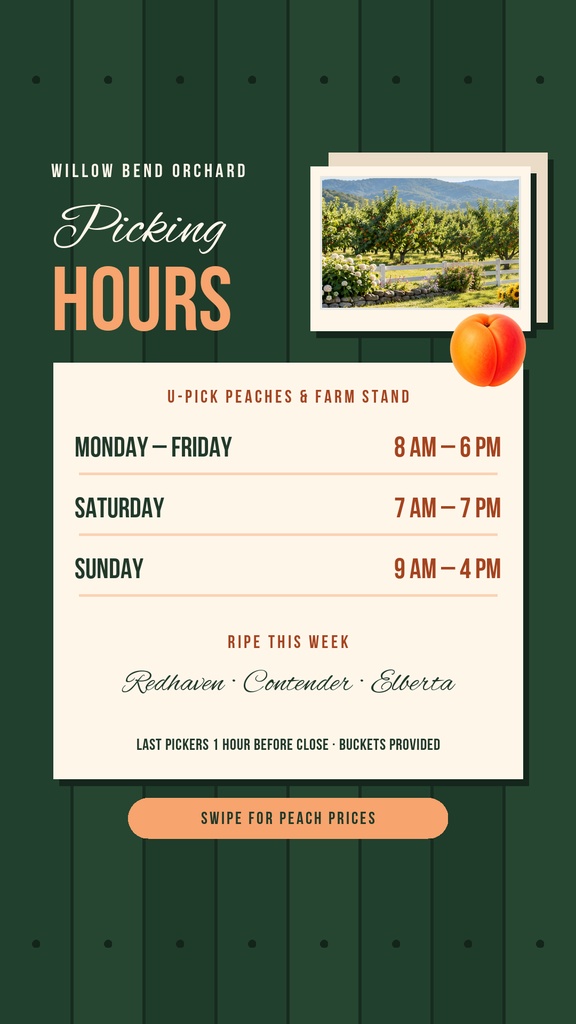 Instagram story template with orchard picking hours, a peach image, and farm stand details on a green background.