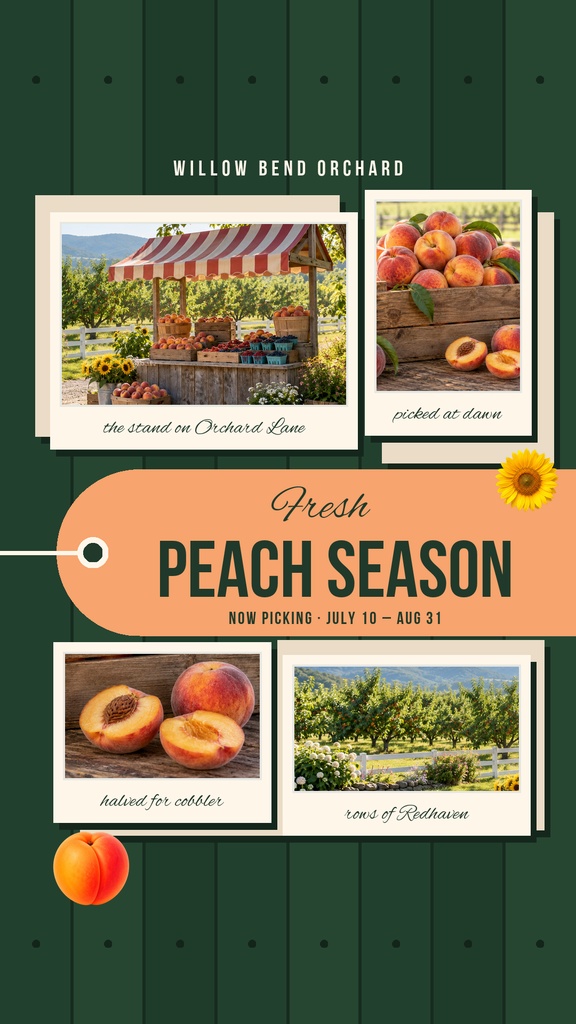 Instagram story template with peaches, orchard photos, and a peach season headline on a green background