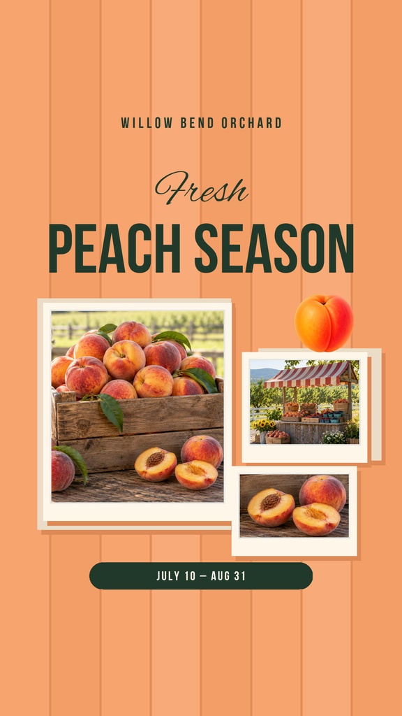 Portrait reel cover template with fresh peaches, orchard photos, and peach season text on a peach background.