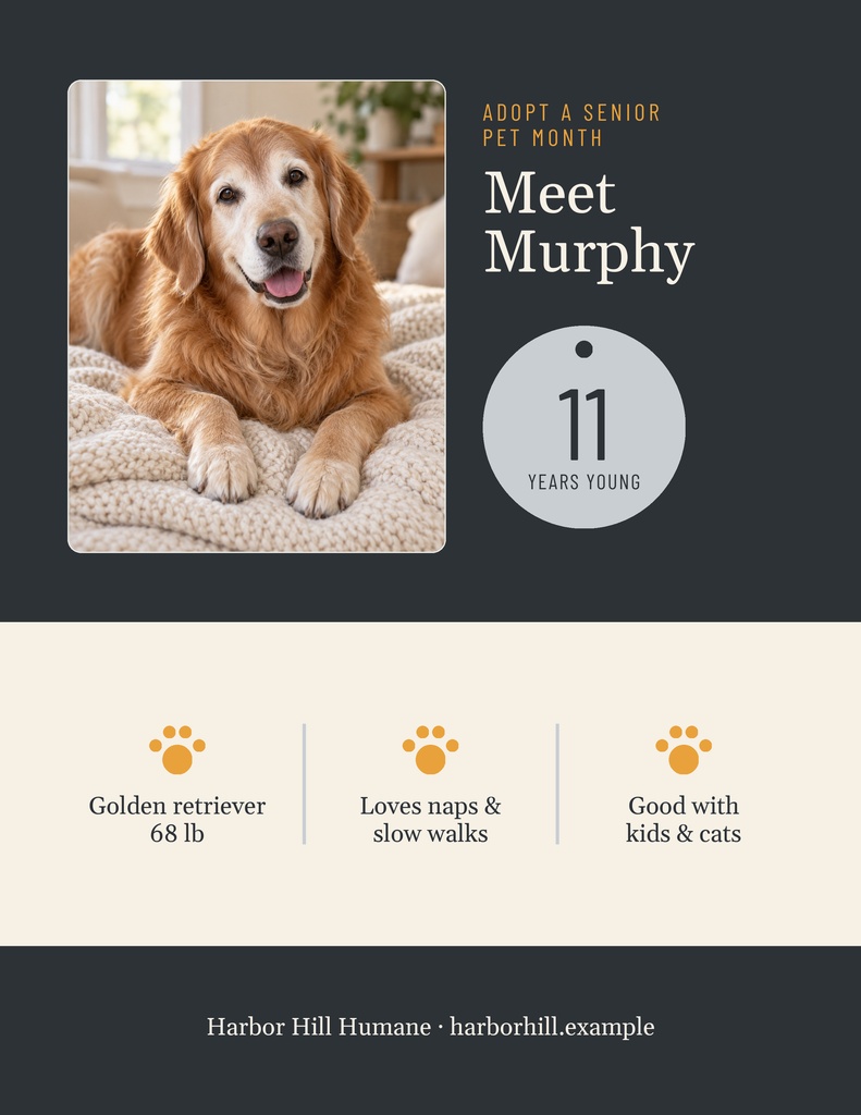 Portrait flyer featuring a golden retriever named Murphy with adoption details and senior pet month text.