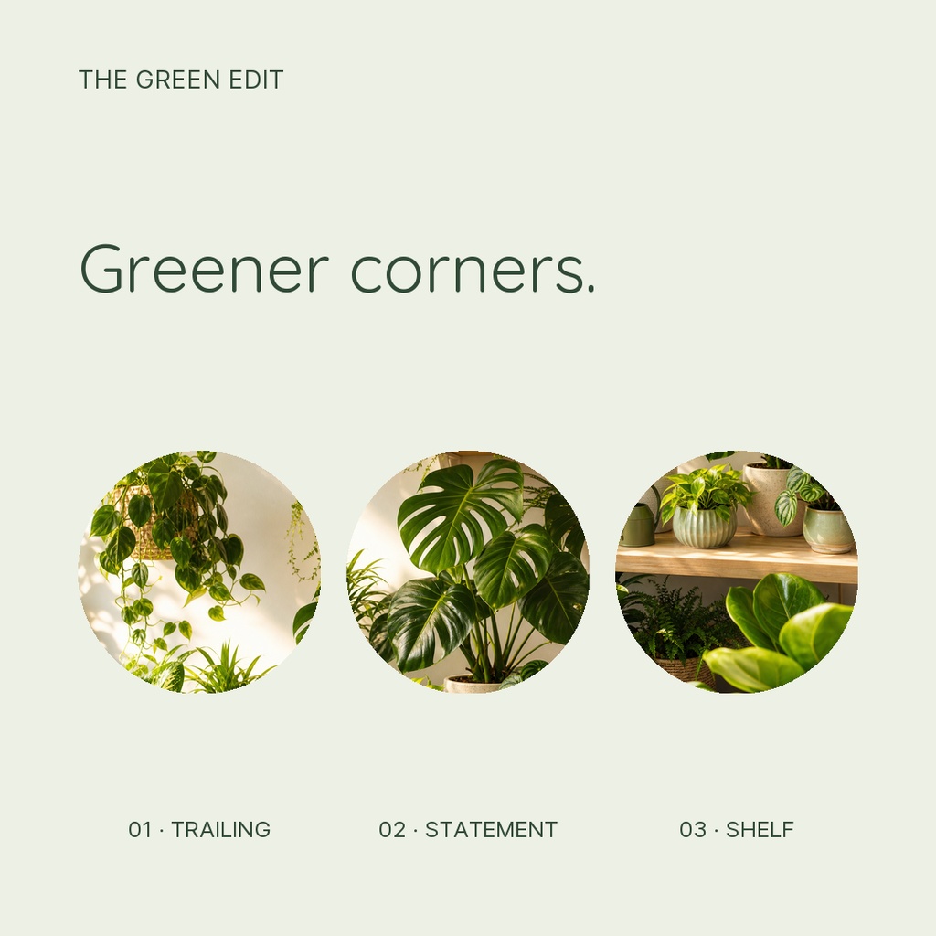 Square design with the text Greener corners and three circular photos of indoor plants.