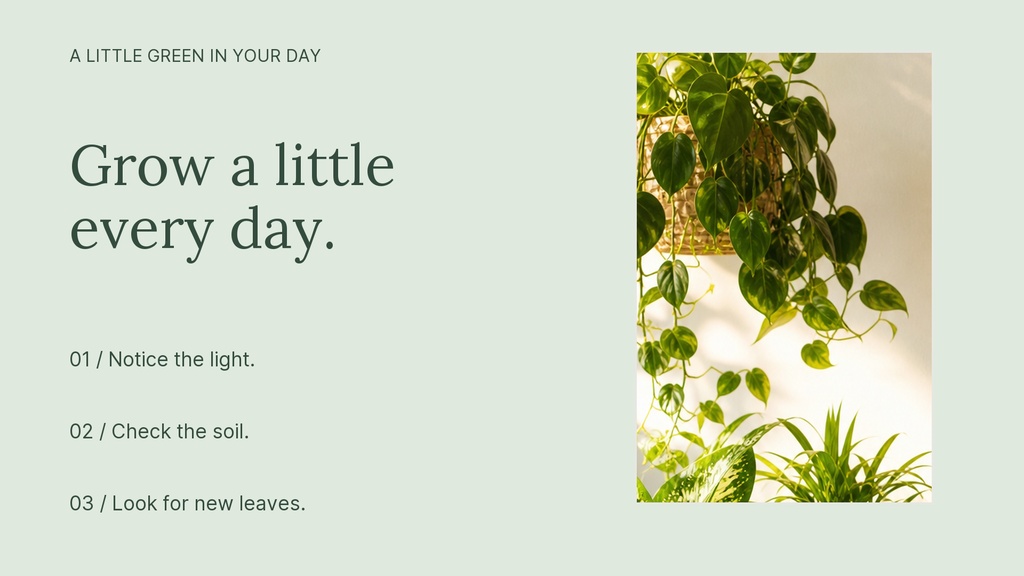 Landscape graphic with a houseplant photo and the phrase Grow a little every day.