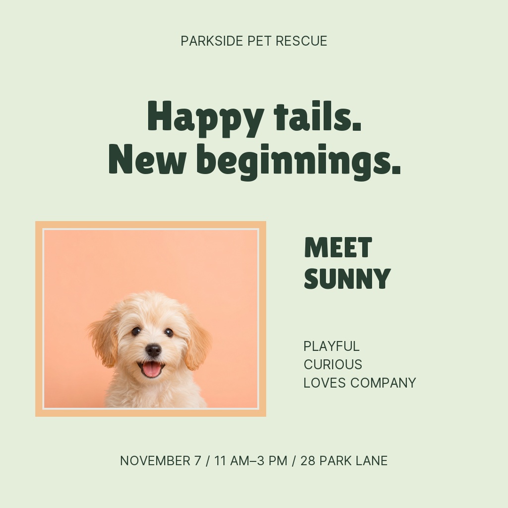 Square adoption post with a puppy photo, Happy tails new beginnings text, and event details.