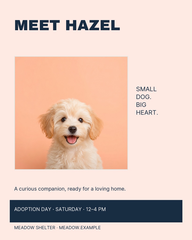 Poster with a small fluffy dog portrait, Meet Hazel headline, and adoption event details.