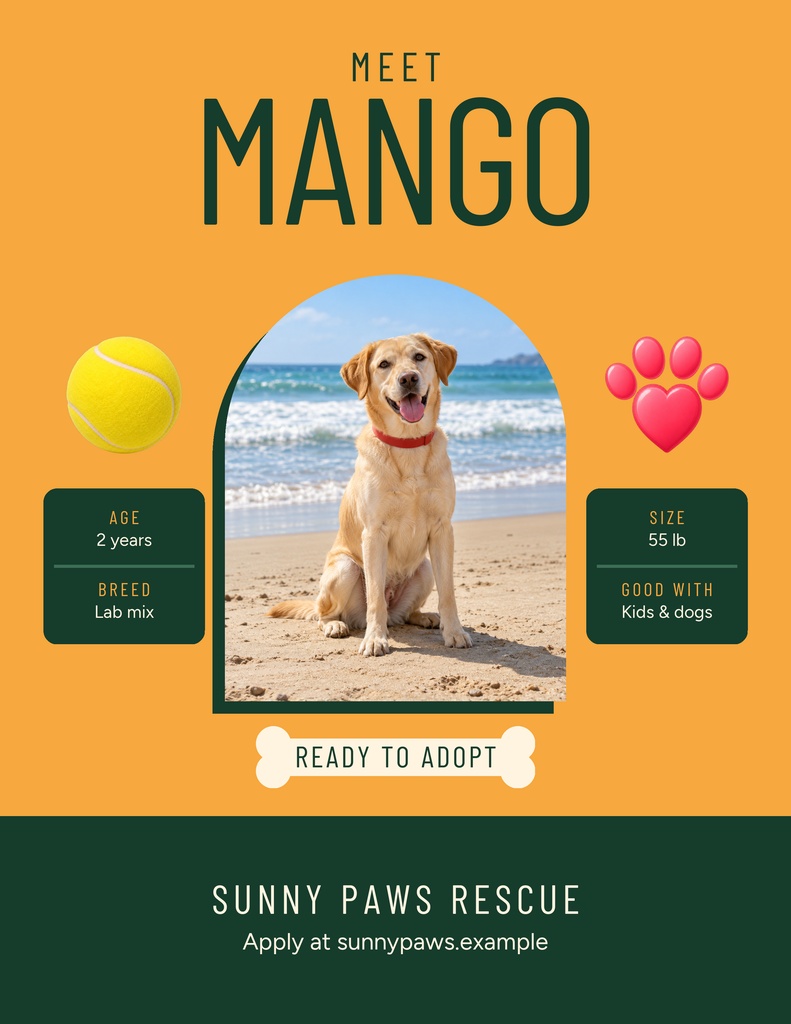 Orange pet adoption flyer featuring a smiling dog named Mango with tennis ball and paw print icons.