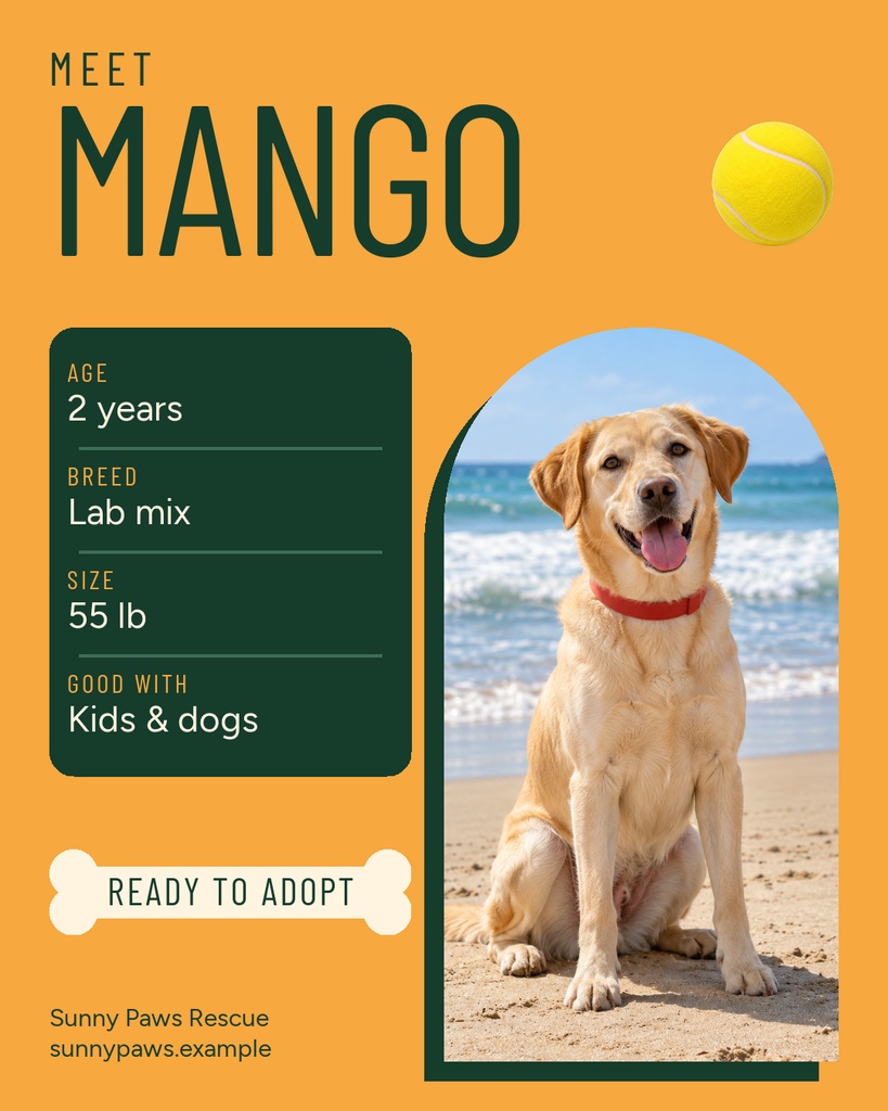 Orange pet adoption post featuring a dog portrait, tennis ball, and adoption details for Mango.