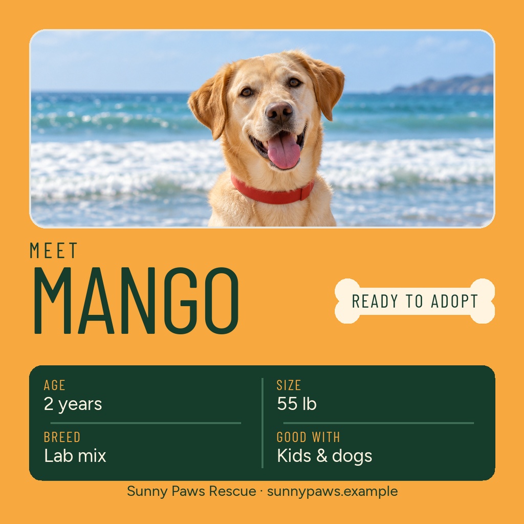 Square pet adoption post with a smiling dog on a beach and ready to adopt text.