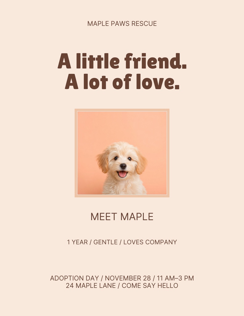 Portrait flyer with a small fluffy dog photo and pet adoption event details on a beige background.