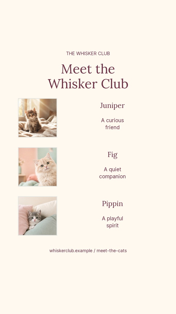 Portrait Instagram story template with three cat photos and the title Meet the Whisker Club.
