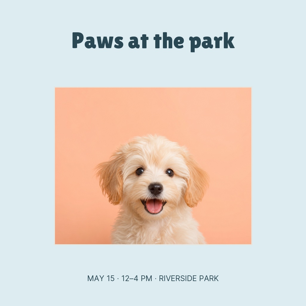 Square post with a smiling puppy on a peach background and the title Paws at the park.