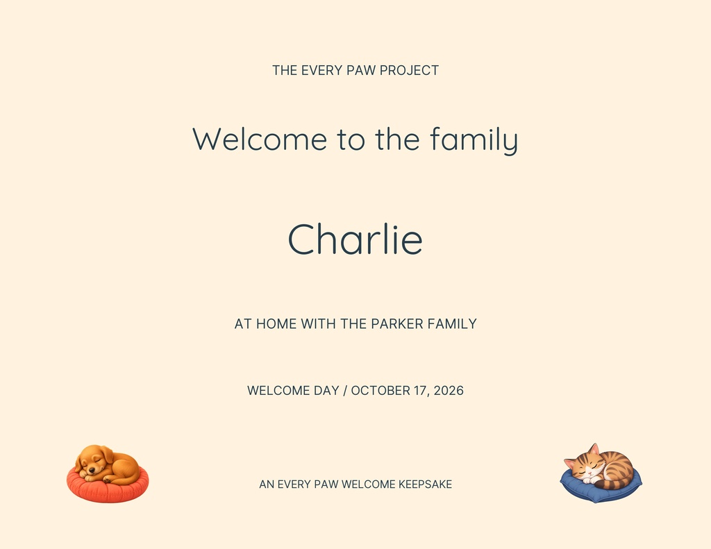 Minimal landscape certificate with text for Charlie and small dog and cat illustrations at the bottom.