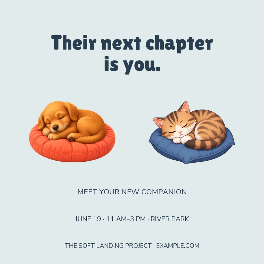 Square post with headline, sleeping puppy and cat on cushions, and pet adoption event details.
