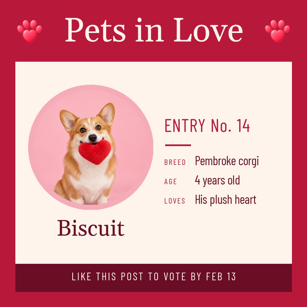 Valentine pet contest square post featuring a corgi with a heart and entry details.