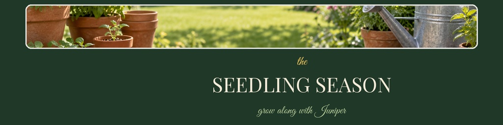 Green LinkedIn banner with potted seedlings, spring plants, and Seedling Season text