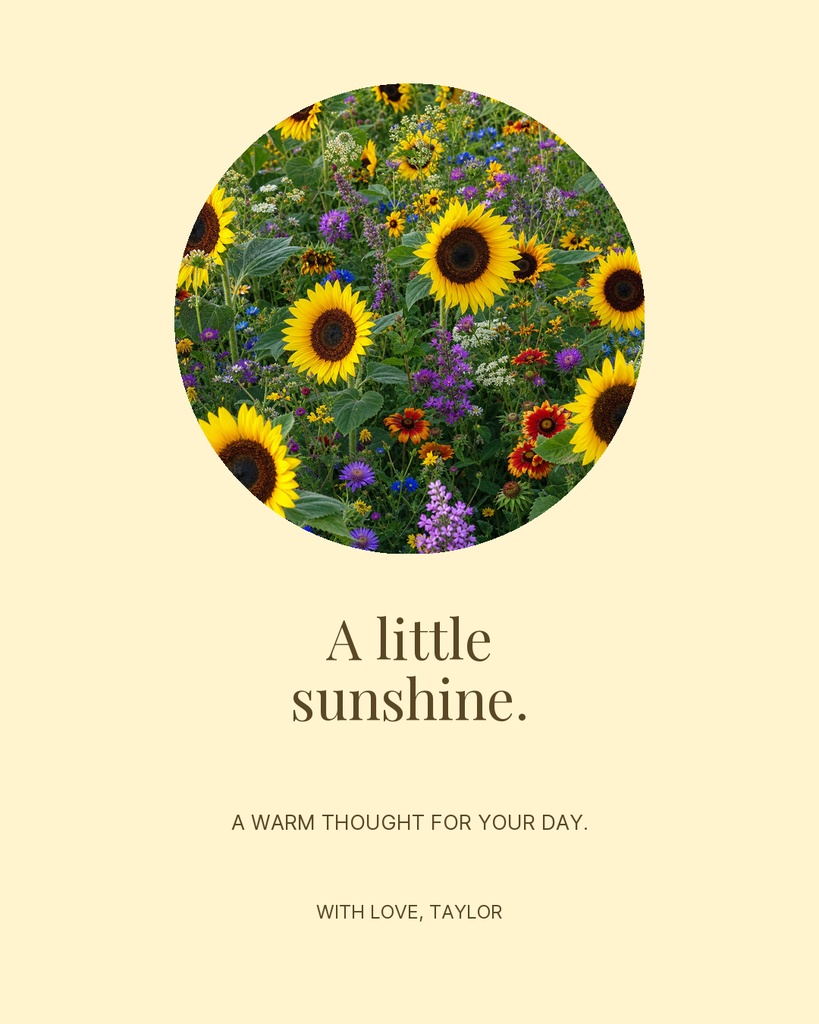 Portrait greeting template with a circular sunflower meadow image and the words A little sunshine.