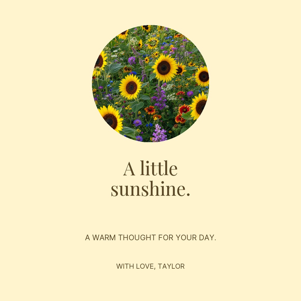Square card with a circular sunflower photo and the words A little sunshine.