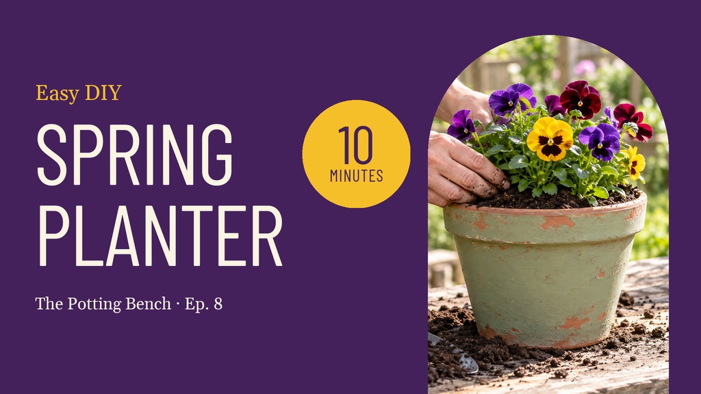 Purple video title card with a potted flower, large Spring Planter text, and a 10 Minutes badge.