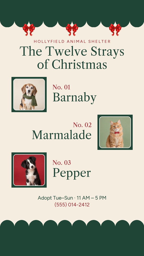 Holiday adoption Instagram Story with three pet photos, festive bows, and shelter event details.